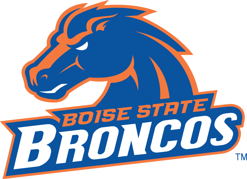 Boise State Broncos 2002-2012 Alternate Logo v2 diy fabric transfer